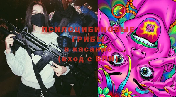 прущие крисы Нефтекумск