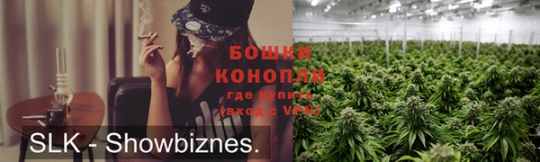 индика Нефтегорск
