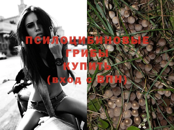 прущие крисы Нефтекумск
