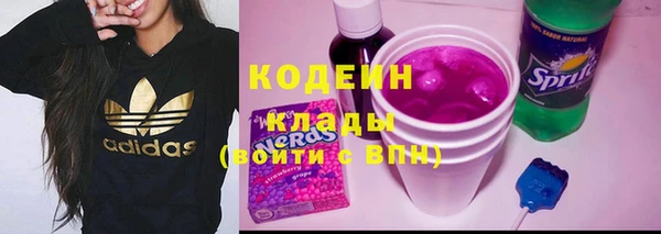 индика Нефтегорск