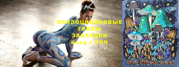 соль ск Нея
