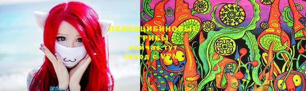 соль ск Нея
