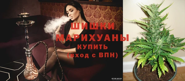 прущие крисы Нефтекумск