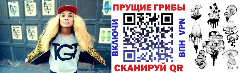 Купить закладки  Звенигород  Псилоцибиновые грибы мухоморы 